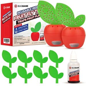 fruit fly traps for indoors, gnat traps for house indoor, 2 apple pack. fruit fly killer trap. kitchen and indoor house plants fungus gnat traps with 10 sticky indoor fly traps and 1 oz liquid bait.