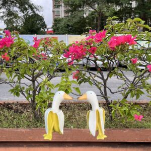 Tellme 2 PCS Banana Duck Statues, Creative Whimsical Garden Art Resin Sculptures, Cute Ducks Gnomes Decor for Room, Porch, Office, Home, Funny Outdoor Naughty Banana Ornament, Personalized Gifts.