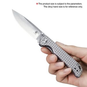 Kizer Begleiter Mini EDC Knife, Titanium Handle with M390 Blade, Small Grey Knife Gift for Men, Ki3458RA2