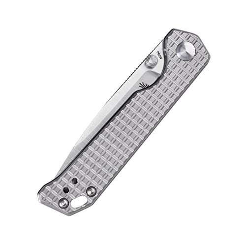 Kizer Begleiter Mini EDC Knife, Titanium Handle with M390 Blade, Small Grey Knife Gift for Men, Ki3458RA2