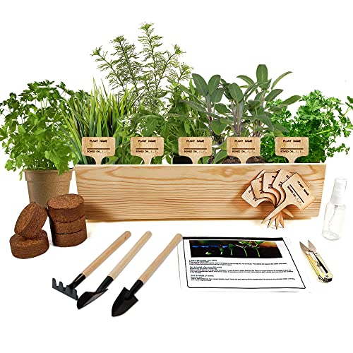 Indoor Herb Grow Kit, 5 Herb Garden Starter Kit with Complete Planting Kit & Wooden Flower Box for Kitchen Windowsill Herb Garden DIY