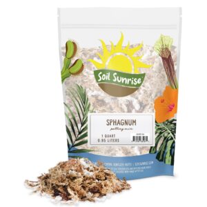 sphagnum moss potting mix (1 quart); for carnivorous plants: blend of dried moss with perlite