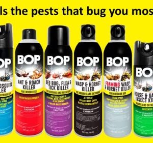 BOP Ant & Roach Killer, 17 oz, Easy to Use Pest Control Spray, Kills Bugs On Contact and Keeps Your Home Insect Free, Indoor/Outdoor Use for Quick Results