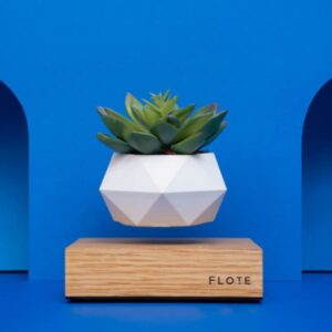 FLOTE Levitating Air Pot – Floating Plant Pot – Planter for Bonsai or Air Plants – Magic Magnetic Levitation Design – Unique Gift – Minimalist Indoor Desk Planter – Levitating Plant Pot