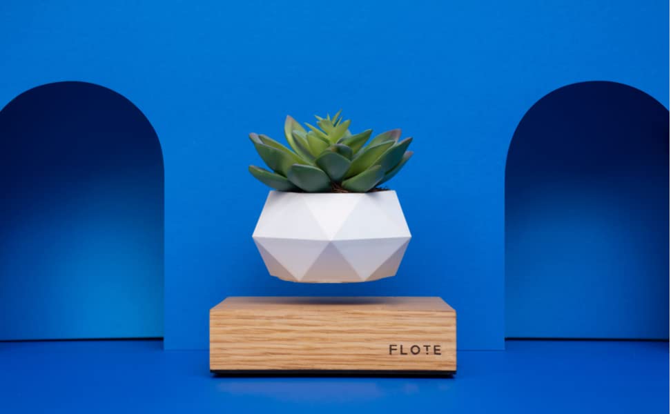 FLOTE Levitating Air Pot – Floating Plant Pot – Planter for Bonsai or Air Plants – Magic Magnetic Levitation Design – Unique Gift – Minimalist Indoor Desk Planter – Levitating Plant Pot