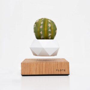 FLOTE Levitating Air Pot – Floating Plant Pot – Planter for Bonsai or Air Plants – Magic Magnetic Levitation Design – Unique Gift – Minimalist Indoor Desk Planter – Levitating Plant Pot