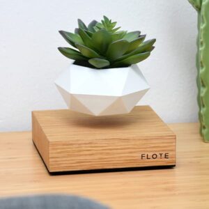 FLOTE Levitating Air Pot – Floating Plant Pot – Planter for Bonsai or Air Plants – Magic Magnetic Levitation Design – Unique Gift – Minimalist Indoor Desk Planter – Levitating Plant Pot