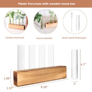 KAXYEW Plant Propagation Station, Plant Propagation Tubes, Gifts for Plant Lovers Office Desk House Garden Décor Plant Terrarium with Wooden Stand