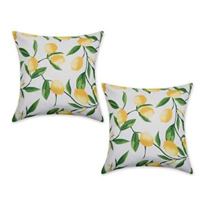 dii throw pillow cover collection outdoor water repellent polyester, reversible, 18x18, lemon bliss, 2 piece