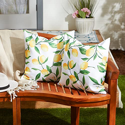 DII Throw Pillow Cover Collection Outdoor Water Repellent Polyester, Reversible, 18x18, Lemon Bliss, 2 Piece