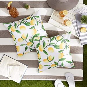 DII Throw Pillow Cover Collection Outdoor Water Repellent Polyester, Reversible, 18x18, Lemon Bliss, 2 Piece