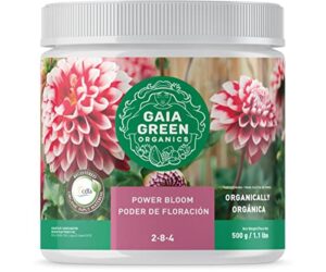 gg power bloom, 500 gram