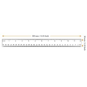 MUKCHAP 20 Pieces 12 Inch(30cm) Clear Plastic Ruler, Ruler Straight with 2 Graduations, Inches and Metric, Transparent Plastic Measuring Ruler for School, Office, Home