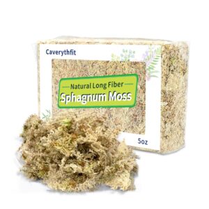 caverythfit long fiber sphagnum moss, naturally air dried, great orchid medium, perfect for rooting plants and cuttings, 5oz(appx.17qt)