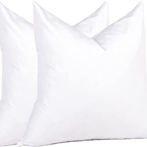 Euro Pillow Inserts 24 x 24 (Pack of 2, White), Down Feather Pillow Stuffer, Premium White Pillows for Bed, Couch, and Cushion