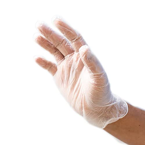 Disposable Vinyl Gloves | Case of 2000 | Multipurpose | Food Handling Use | Powder Free | Clear (2000, Large)