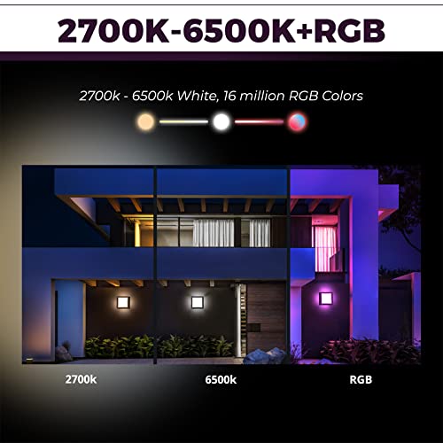 Smart Wall Lights - Outdoor Wall Lights Compatible with Alexa/Google Assistant, RGB+2700K-6500K, 13W(130W Equivalent) 1000lm, 2.4GHz WiFi Wall & Ceiling & Porch Lights, IP 65 Wall Sconces Set of Two