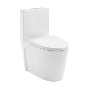 swiss madison well made forever sm-1t274, st. tropez one piece elongated toilet dual vortex flush 1.1/1.6 gpf with 10" rough in