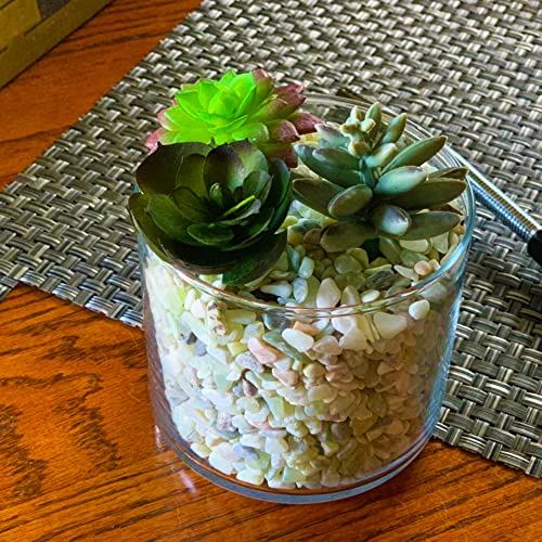 3lb Jade Bean Sand Stone-Succulents and Cactus Bonsai DIY Projects Rocks,Decorative Gravel for Plants and Vases Fillers,Terrarium,Fairy Gardening,Natural Stone Top Dressing for Potted Plants (5mm-8mm)