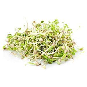 todd’s seeds - country delight sprouting seed mix - one pound - sprouting seeds for microgreens - clover, cress, arugula, radish and dill - chemical free - non gmo