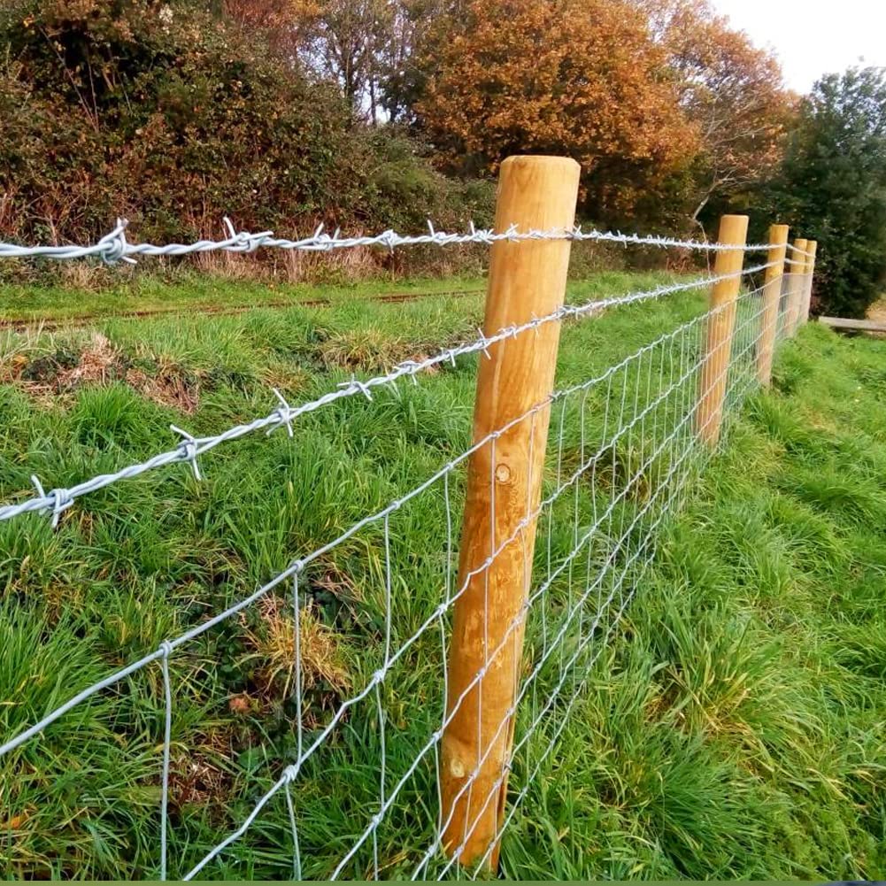 Yowlieu 4 Point Barbed Wire, 18 Gauge Real Barb Wire Roll 20 Feet Barbwire for Fence, Baseball Bat, Bird Feeder, Garden & Crafts