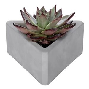 mygift unglazed gray cement planter pot with drainage hole and plastic plug, indoor mini triangle shaped cactus succulent planter poter