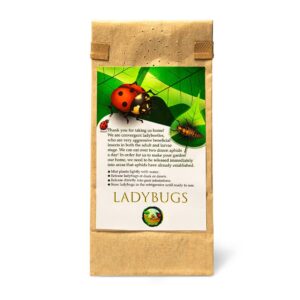 300 Live Ladybugs - Gardner Time - Good Bugs for Garden - Bag of LiveLadybugs - Guaranteed Live Delivery