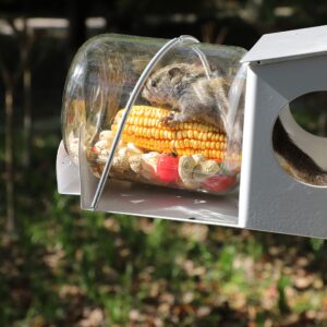 PFNRTH Squirrel Feeder, Backyard Gallon Jar Squirrel Feeder for Outside,Enjoying Squirrels Eating Corn, Peanuts and Seeds.