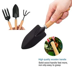 Mini Garden Tools Set of 3, Succulent Plants Tools Wood Handle Rake, Fork and Shovel, Garden Hand Transplanting Gardening Tools Set for Seedlings, Bonsai, Succulents, Herbs, Terrariums and Planting