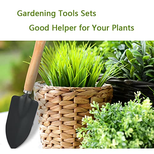 Mini Garden Tools Set of 3, Succulent Plants Tools Wood Handle Rake, Fork and Shovel, Garden Hand Transplanting Gardening Tools Set for Seedlings, Bonsai, Succulents, Herbs, Terrariums and Planting