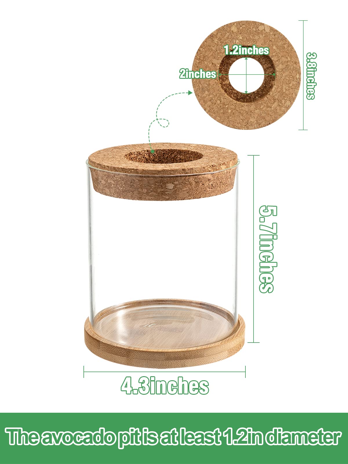 Biggun Avocado Tree Growing Kit - Avocado Pit Planting Bowl with Cork and Wooden Base, Cultivating Seedlings in Novel Way, Great Gift for Family Friends and Gardening Enthusiasts