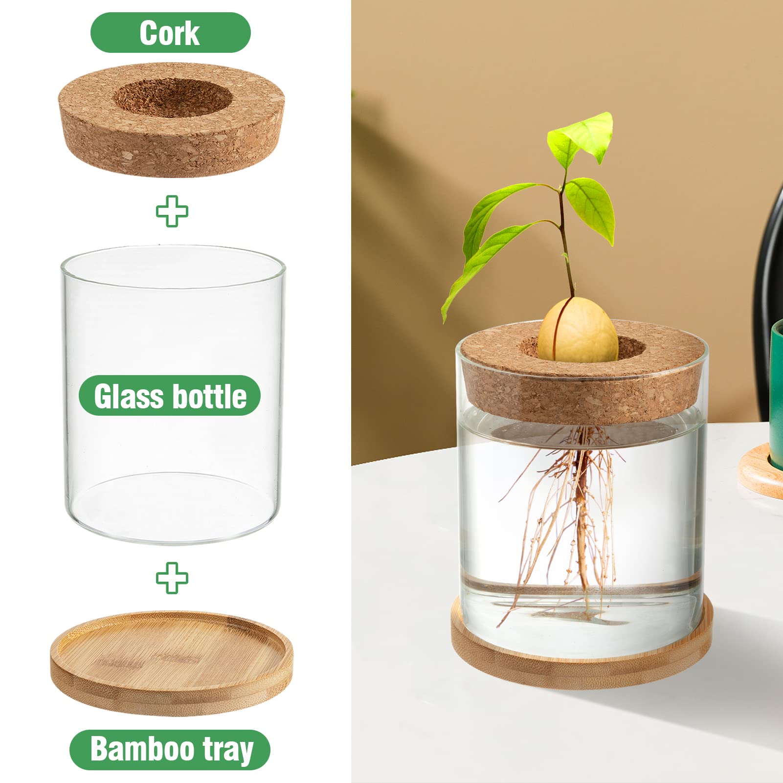 Biggun Avocado Tree Growing Kit - Avocado Pit Planting Bowl with Cork and Wooden Base, Cultivating Seedlings in Novel Way, Great Gift for Family Friends and Gardening Enthusiasts