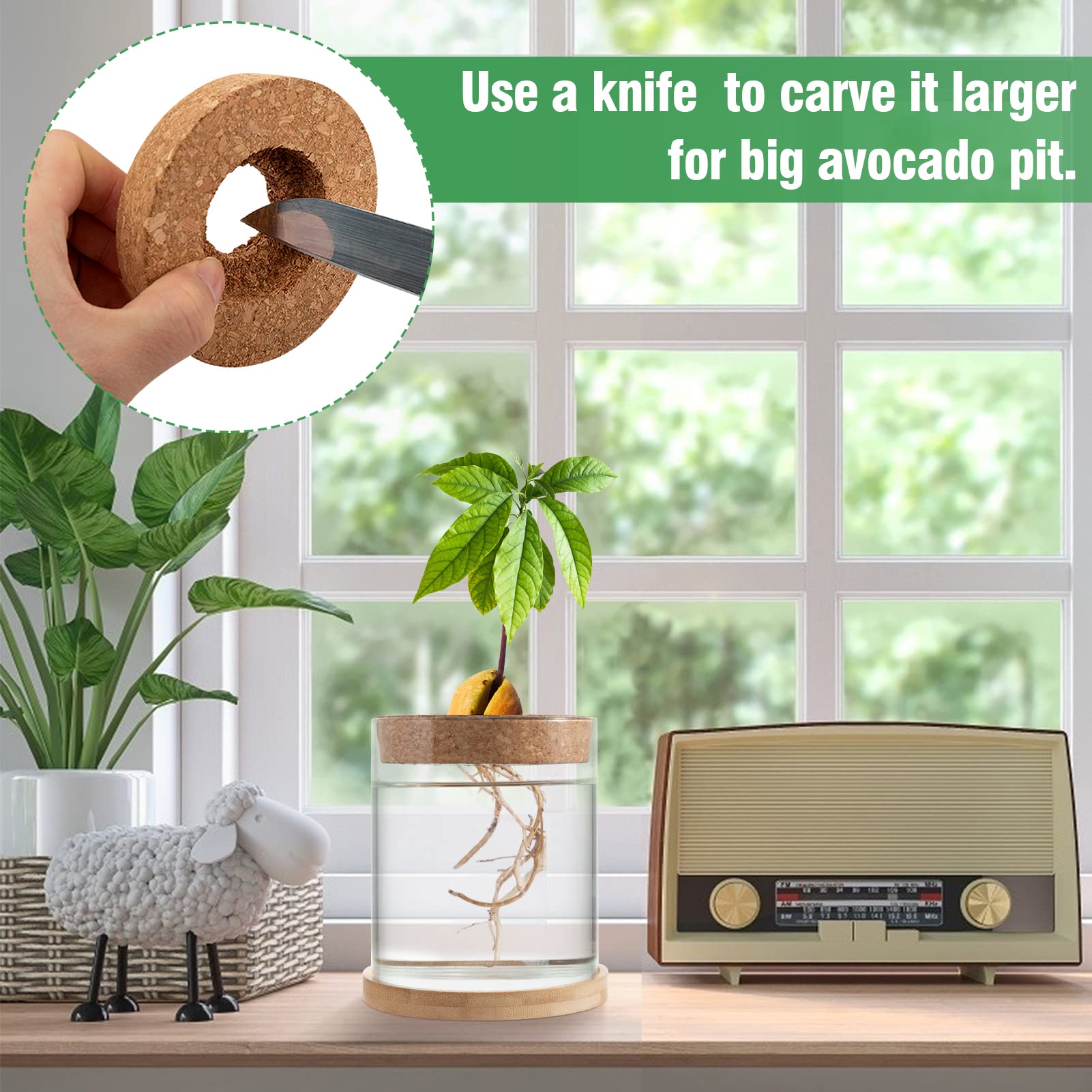 Biggun Avocado Tree Growing Kit - Avocado Pit Planting Bowl with Cork and Wooden Base, Cultivating Seedlings in Novel Way, Great Gift for Family Friends and Gardening Enthusiasts