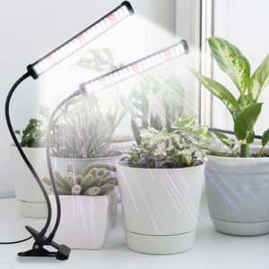 GooingTop Grow Light 100W 6000K, Super Bright White Desktop Clip Plant Lamp for Seedlings Succulents Seeds Starting Indoor Plants Growing,Bendable Gooseneck & Timer 4 8 12 H
