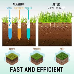 Colwelt Spike Lawn Aerator, Manual Aerator for Compacted Soils and Lawns, Non-Slip T-Handle Spike Aeration with Four 3.5-Inch Solid Steel Spikes, 38-Inch