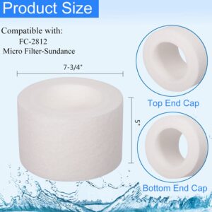 HANXER 6540-502 Hot Tub Filter Cartridge Replaces for Filbur FC-2812, Sundance Series 850 780 6540-502, PPS750, Darlly PP2002, Inner Pre Filter Disposable for Pool and Spa, 1 Pack