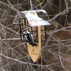 Kingsyard Double Suet Bird Feeder with Tail-Prop & Weatherproof Roof, Metal Cage Suet Feeders for Outside Hanging, Great for Woodpecker, Chickadee, Nuthatch