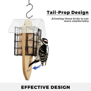 Kingsyard Double Suet Bird Feeder with Tail-Prop & Weatherproof Roof, Metal Cage Suet Feeders for Outside Hanging, Great for Woodpecker, Chickadee, Nuthatch