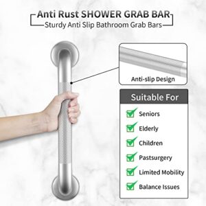 2 Pack 16 Inch Grab Bars for Bathtubs and Showers, Anti Slip Shower Grab Bars Stainless Steel Shower Handle Toilet Handicap Elderly Senior Assist Bathroom Saft Handle