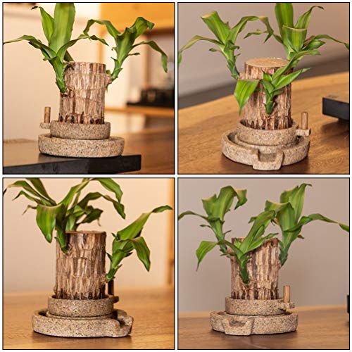 PartyKindom 1pc Ornaments Flower pots for Indoor Plants Planter pots for Indoor House Plants Artificial Plant pots Outdoor Flower pots Mini vase Garden Flowerpot Office Succulents Resin Unique