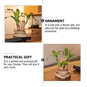 PartyKindom 1pc Ornaments Flower pots for Indoor Plants Planter pots for Indoor House Plants Artificial Plant pots Outdoor Flower pots Mini vase Garden Flowerpot Office Succulents Resin Unique