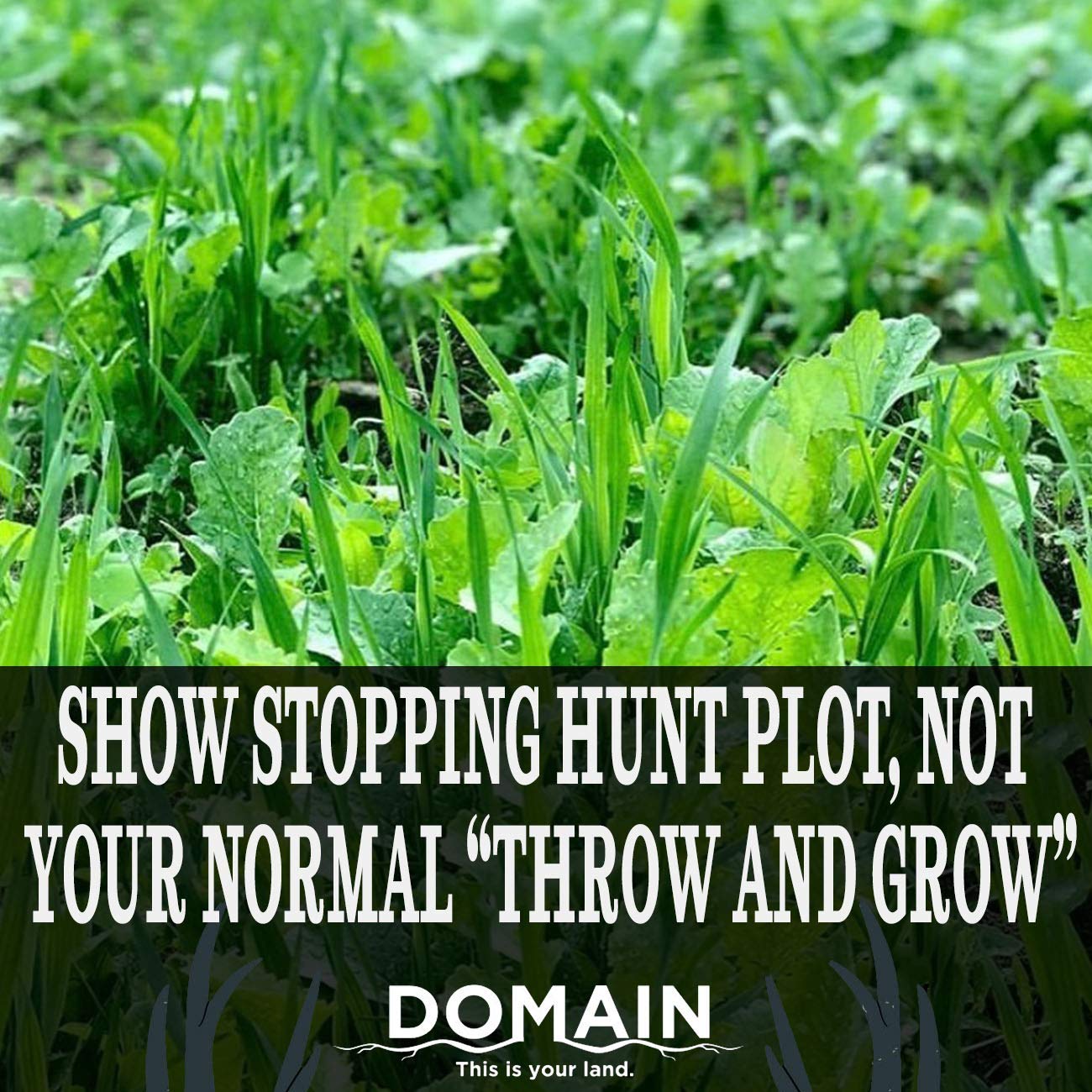 Domain Outdoor No BS Deer Food Plot Seed for Deer, 1/4 Acre, Finally a No Till Mix with Zero Fillers, No Heavy Equipment Required - Forage Oats, Clover, Forage Rape, Chicory, Radish