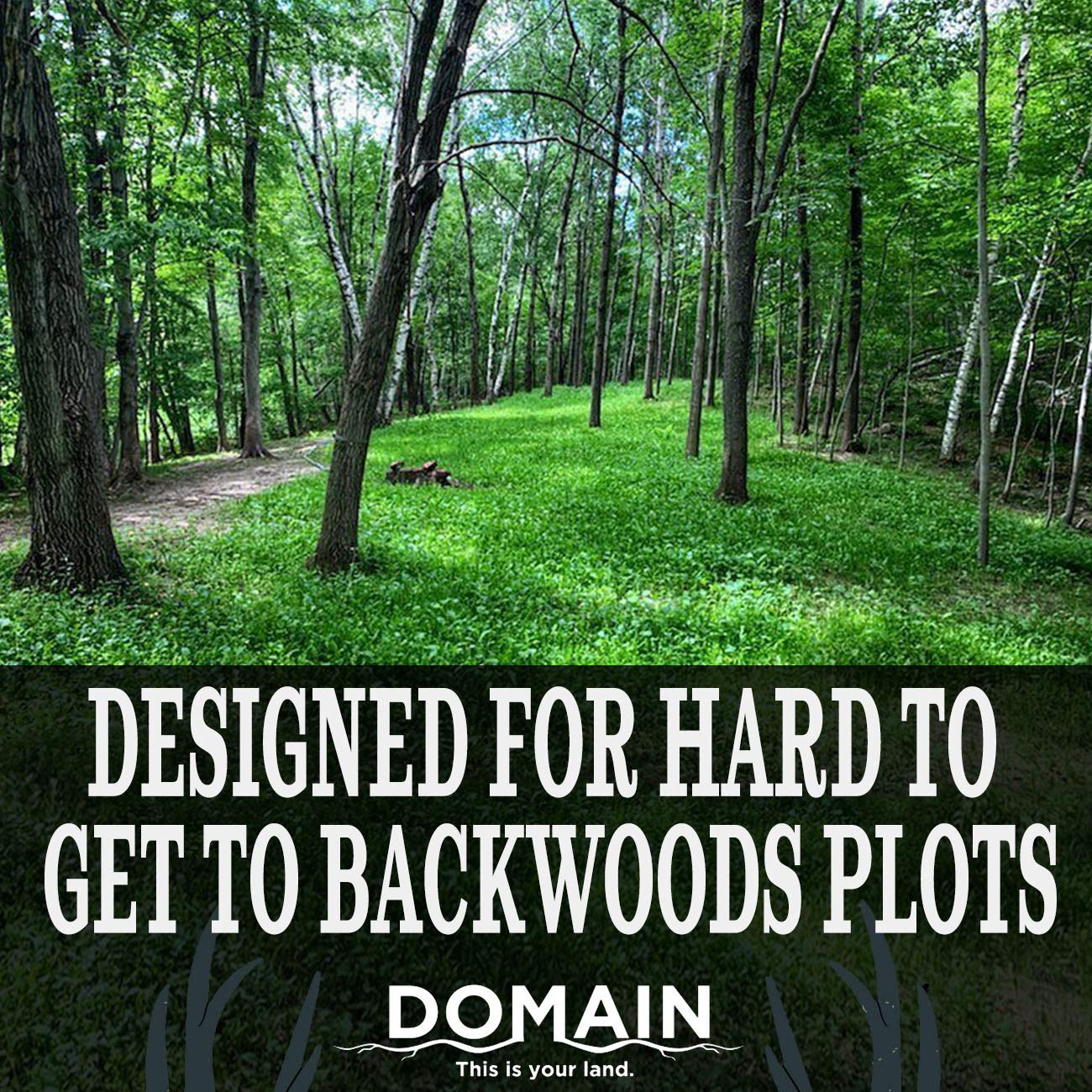 Domain Outdoor No BS Deer Food Plot Seed for Deer, 1/4 Acre, Finally a No Till Mix with Zero Fillers, No Heavy Equipment Required - Forage Oats, Clover, Forage Rape, Chicory, Radish