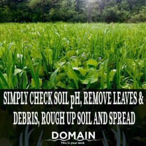 Domain Outdoor No BS Deer Food Plot Seed for Deer, 1/4 Acre, Finally a No Till Mix with Zero Fillers, No Heavy Equipment Required - Forage Oats, Clover, Forage Rape, Chicory, Radish