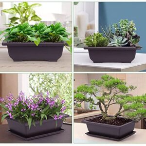 MissFox Bonsai Bowl with Saucer, Potted Plants Plant Pot for Garden, Bonsai Training Pots Made of Plastic, 6 Flower Pots Square Large with 6 Trays and 3 Mini Garden Tool Set, 16 x 12 x 6 cm