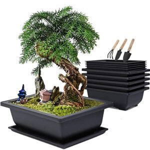 missfox bonsai bowl with saucer, potted plants plant pot for garden, bonsai training pots made of plastic, 6 flower pots square large with 6 trays and 3 mini garden tool set, 16 x 12 x 6 cm