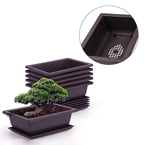 MissFox Bonsai Bowl with Saucer, Potted Plants Plant Pot for Garden, Bonsai Training Pots Made of Plastic, 6 Flower Pots Square Large with 6 Trays and 3 Mini Garden Tool Set, 16 x 12 x 6 cm