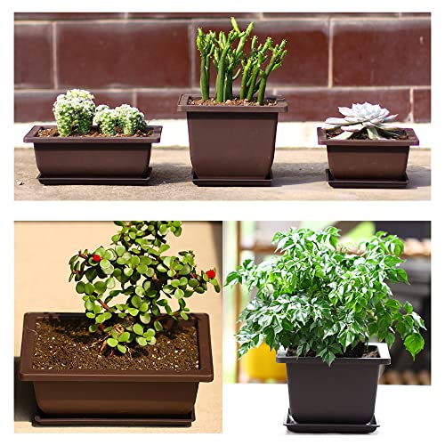 MissFox Bonsai Bowl with Saucer, Potted Plants Plant Pot for Garden, Bonsai Training Pots Made of Plastic, 6 Flower Pots Square Large with 6 Trays and 3 Mini Garden Tool Set, 16 x 12 x 6 cm