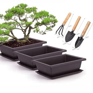 MissFox Bonsai Bowl with Saucer, Potted Plants Plant Pot for Garden, Bonsai Training Pots Made of Plastic, 6 Flower Pots Square Large with 6 Trays and 3 Mini Garden Tool Set, 16 x 12 x 6 cm