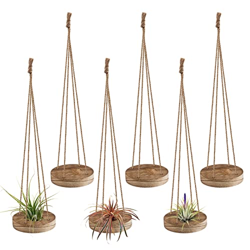 6 Pcs Hanging Wooden Air Plant Holder - 3" Round Wooden Air Plant Hanger with Jute Ropes, Rustic Air Plant Stand Tillandsia Succulent Display Container for Home Office Decor (Plants Not Included)